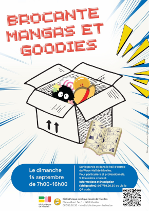Brocante Mangas et goodies mini